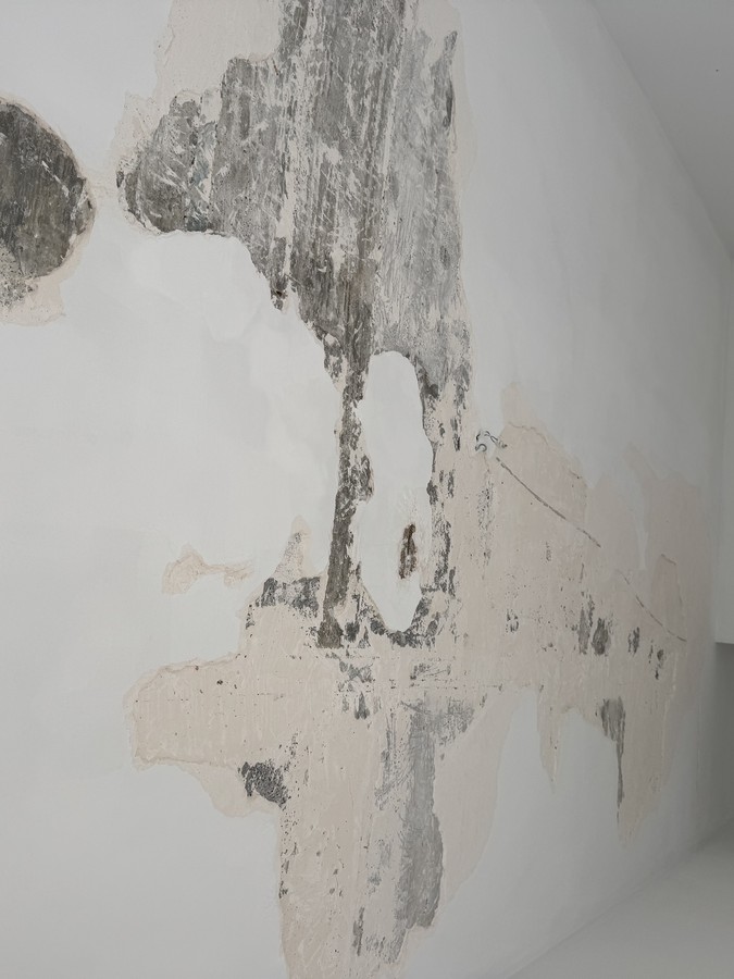 Pared con humedad, yeso levantado y moho